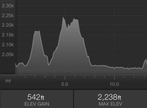 Biltmore half marathon elevation