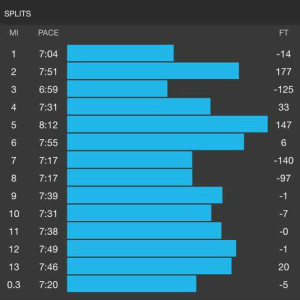 Biltmore half marathon pace