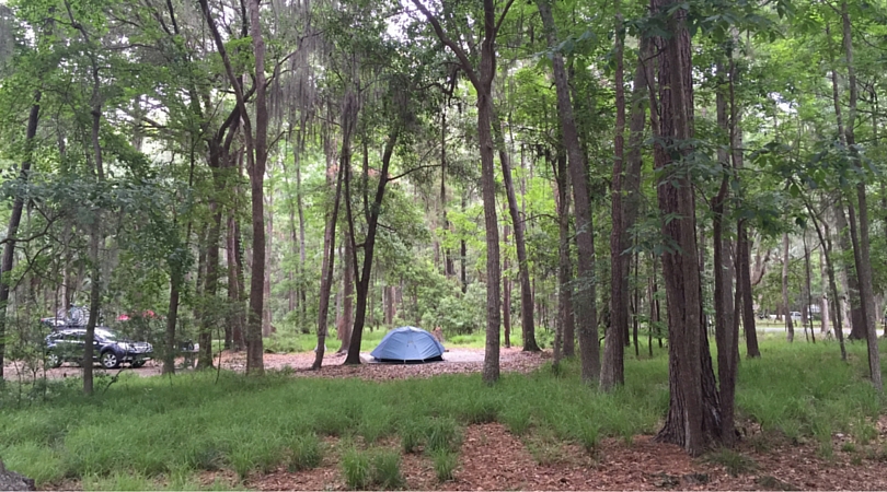 Weekend in Savannah - Skidaway Island State Park