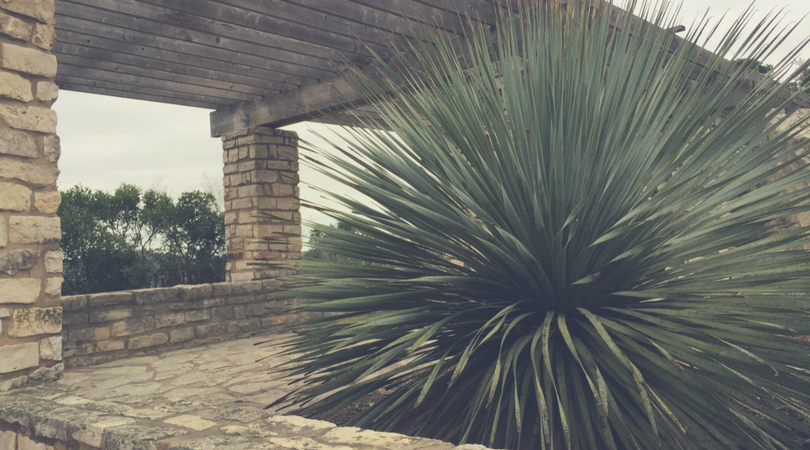 two-days-in-austin-mount-bonnell