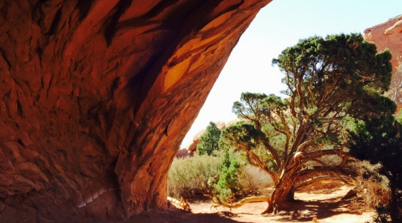 Arches-National-Park-Devil's-Garden