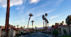 Palm trees lining a street in Palm Springs